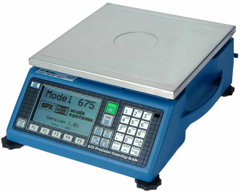 GSE 675 Counting Scale